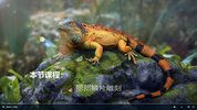 影视动物角色《蜥蜴的凝望》CG全流程制作教程